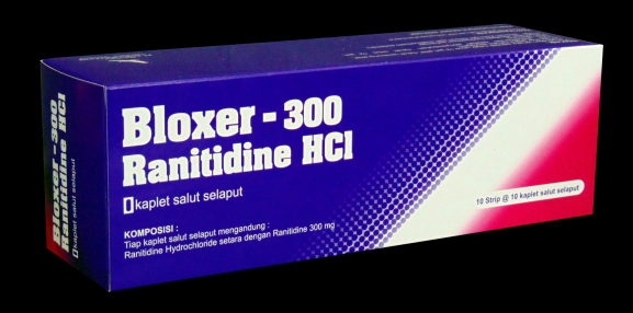 Bloxer 300